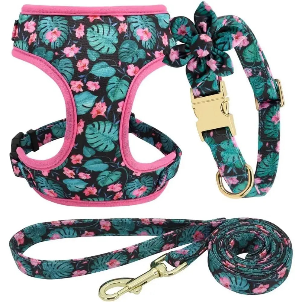 Cute Girl Dog Collars, Harnes & Leashes Set - Adjustable Dog Collar and Leash Set with lower - Sot Mesh Dog Vest Harnor Puppies